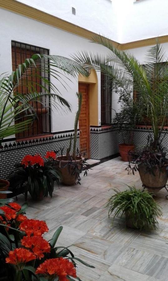Cordoba Centro Esencia Cordobesa. Mezquita公寓 外观 照片
