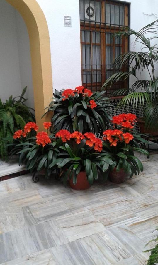 Cordoba Centro Esencia Cordobesa. Mezquita公寓 外观 照片