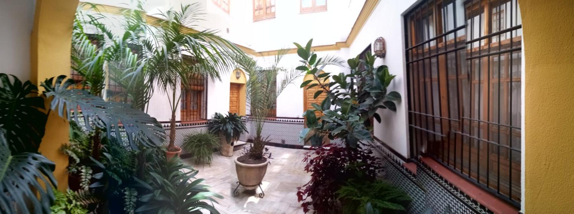 Cordoba Centro Esencia Cordobesa. Mezquita公寓 外观 照片